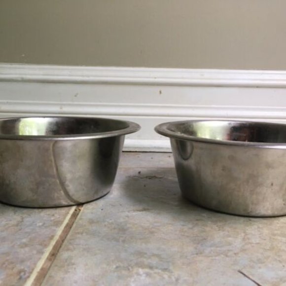 Pet Food Bowls - Picture 2 of 2